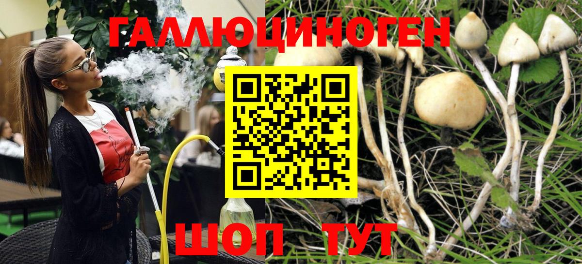 Мытищи  Псилоцибиновые грибы ЛСД  купить закладку  Вход с VPN 