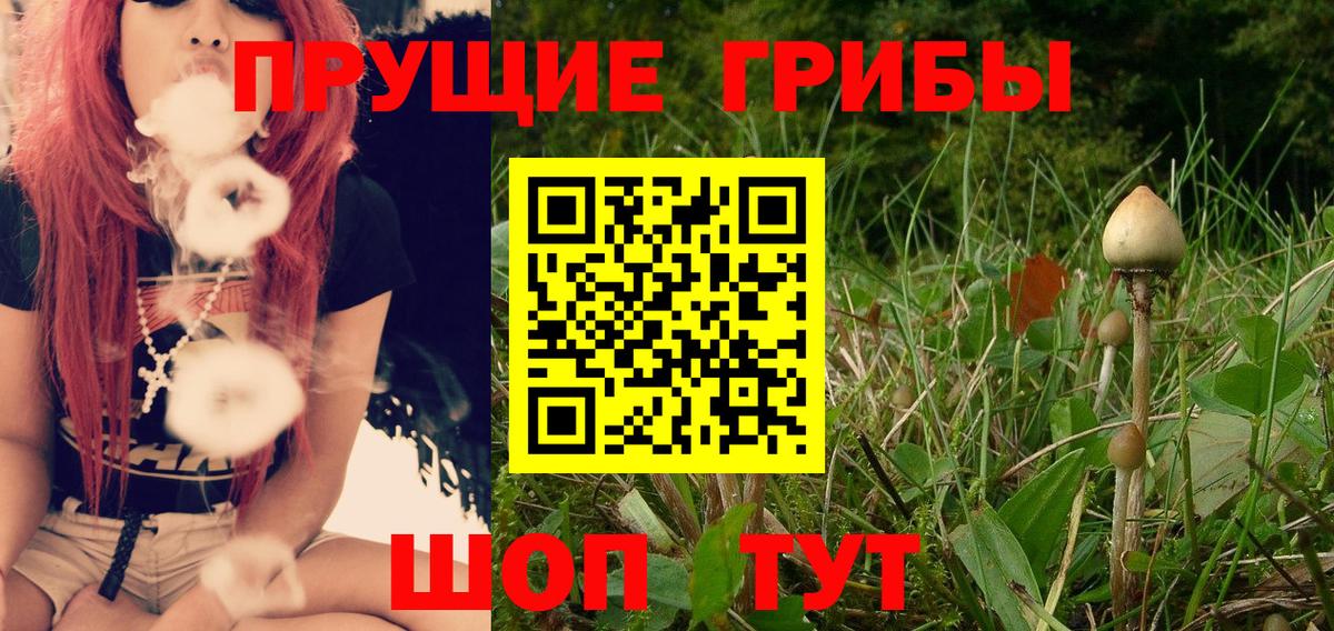 Галлюциногенные грибы Magic Shrooms Мытищи